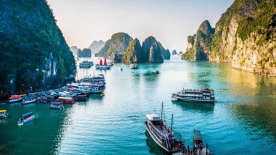 best travel agency in Vietnam