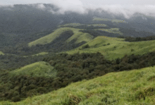 van vibhag apply online