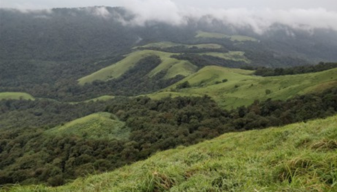 van vibhag apply online